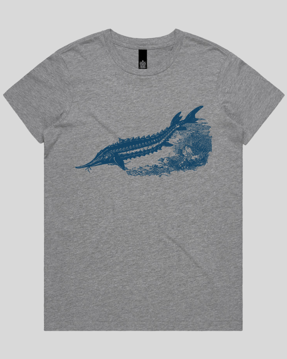 Ancient River Fish 2 Women's T-Shirt