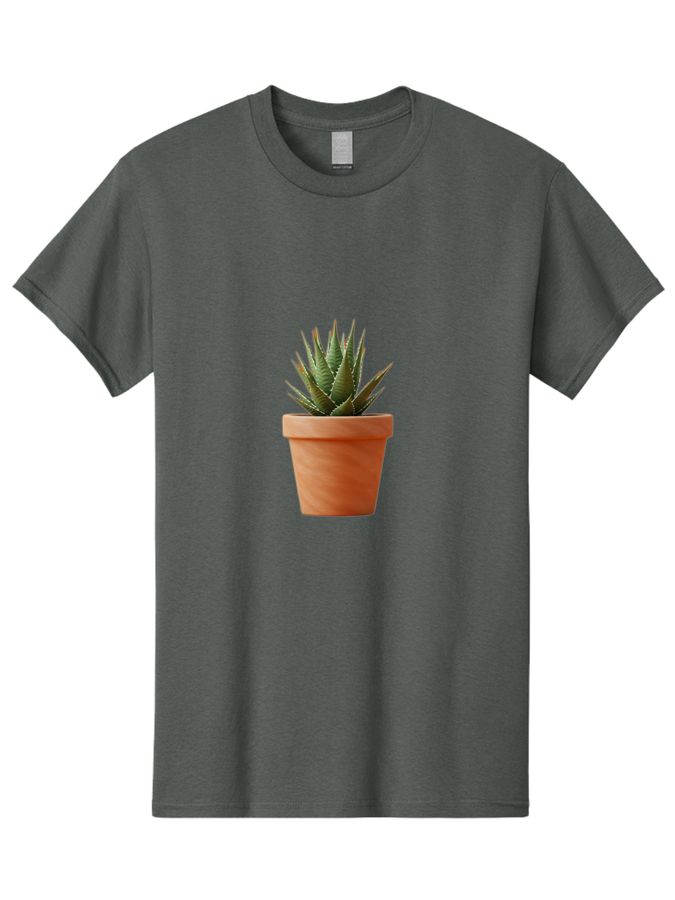 Agave-In-Terracotta-Pot Men'S Graphic Tee, 100% Cotton, Comfortable Casual Summer Wear, Machine Washable, Aloe Vera In Terracotta Pot, Succulent Plant, Indoor Decor, Minimalist Design, Low Maintenance, Green Leaves, Spiky Texture, Home Decor Baa124