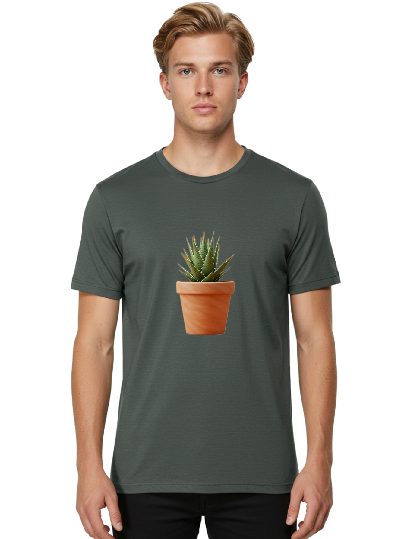 Agave-In-Terracotta-Pot Men'S Graphic Tee, 100% Cotton, Comfortable Casual Summer Wear, Machine Washable, Aloe Vera In Terracotta Pot, Succulent Plant, Indoor Decor, Minimalist Design, Low Maintenance, Green Leaves, Spiky Texture, Home Decor Baa124
