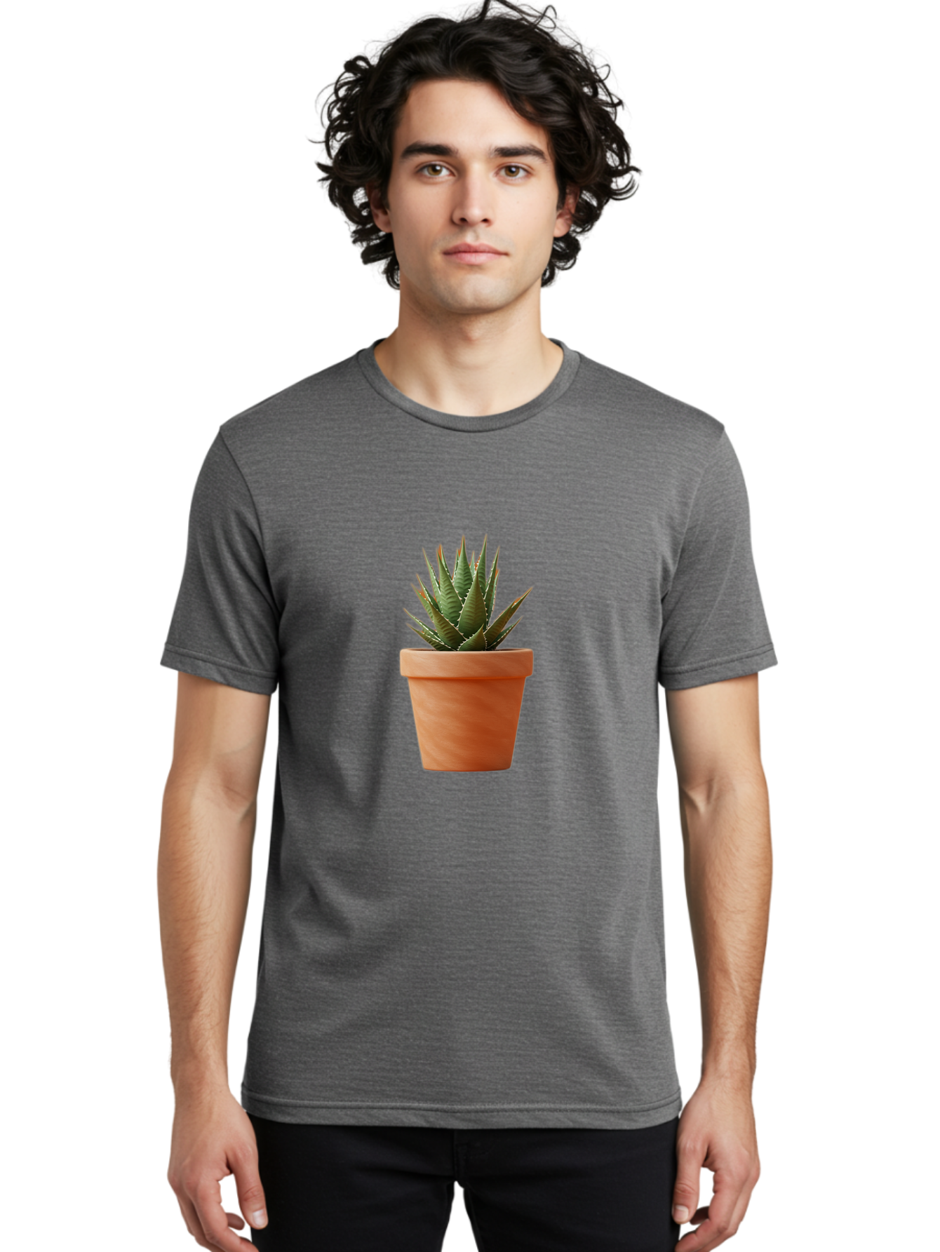 Agave-In-Terracotta-Pot Men'S Graphic Tee, 100% Cotton, Comfortable Casual Summer Wear, Machine Washable, Aloe Vera In Terracotta Pot, Succulent Plant, Indoor Decor, Minimalist Design, Low Maintenance, Green Leaves, Spiky Texture, Home Decor Baa124