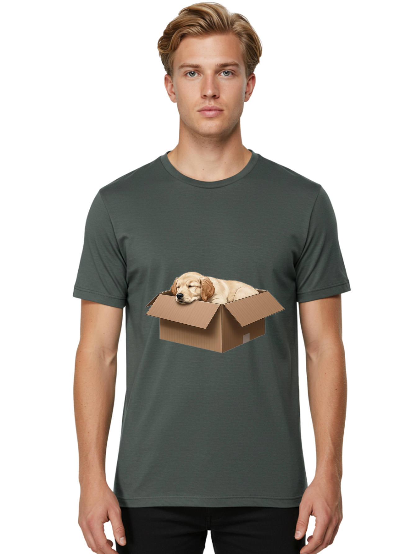 Sleeping-Puppy-1 Men'S Graphic Tee, 100% Cotton, Comfortable Casual Summer Wear, Machine Washable, Sleeping Puppy, Cardboard Box, Adorable Dog, Cute Animal, Resting Pet, Dog In Box, Peaceful Scene, Puppy Love, Cozy Atmosphere, Sweet Dreams Bac417