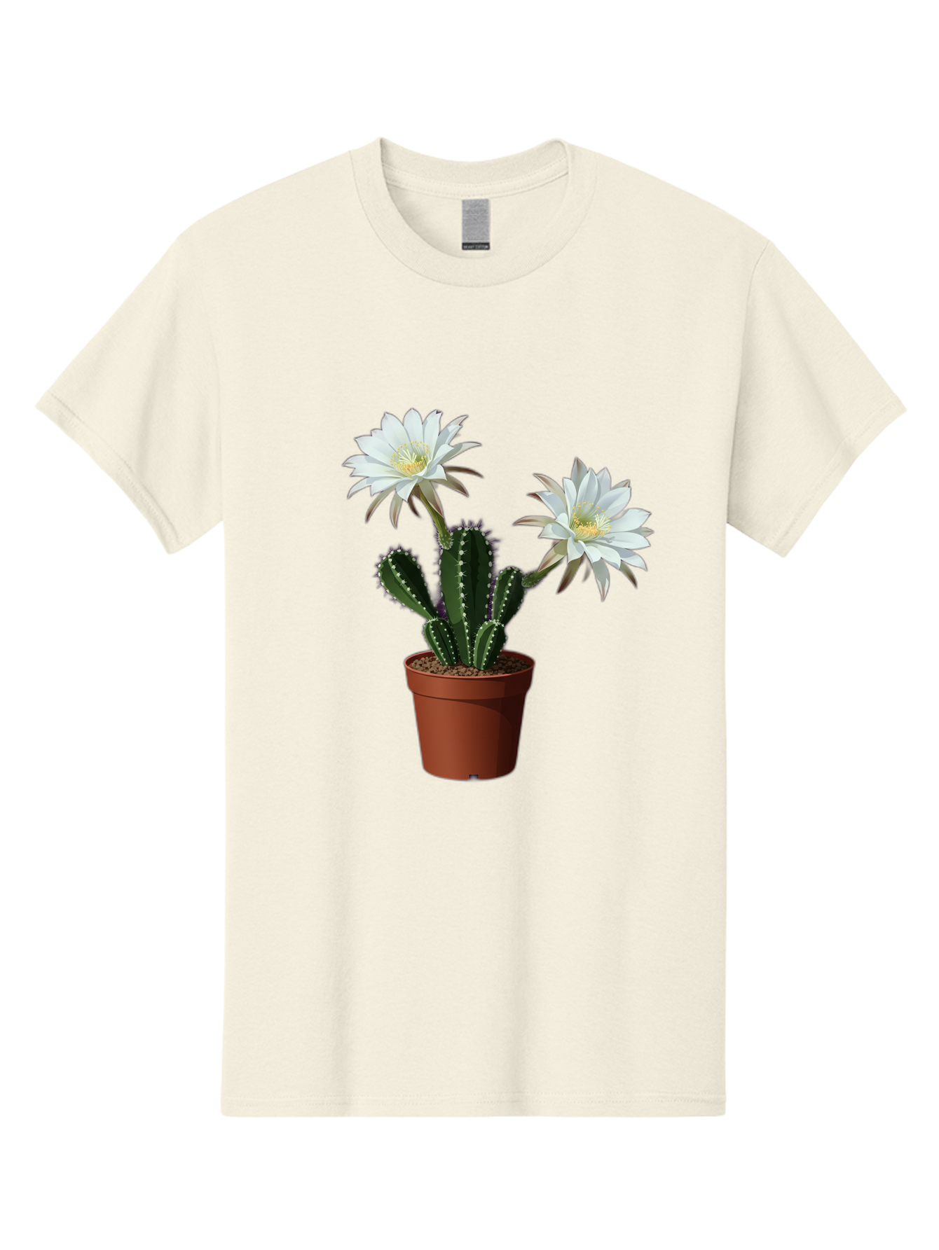 Cactus-Flowers-1 Men'S Graphic Tee, 100% Cotton, Comfortable Casual Summer Wear, Machine Washable, White Cactus Flowers, Cactus In Terracotta Pot, Desert Flora, Succulent Plants, Flowering Cacti, Indoor Plants, Potted Cactus, Blooming Cactus Bac738