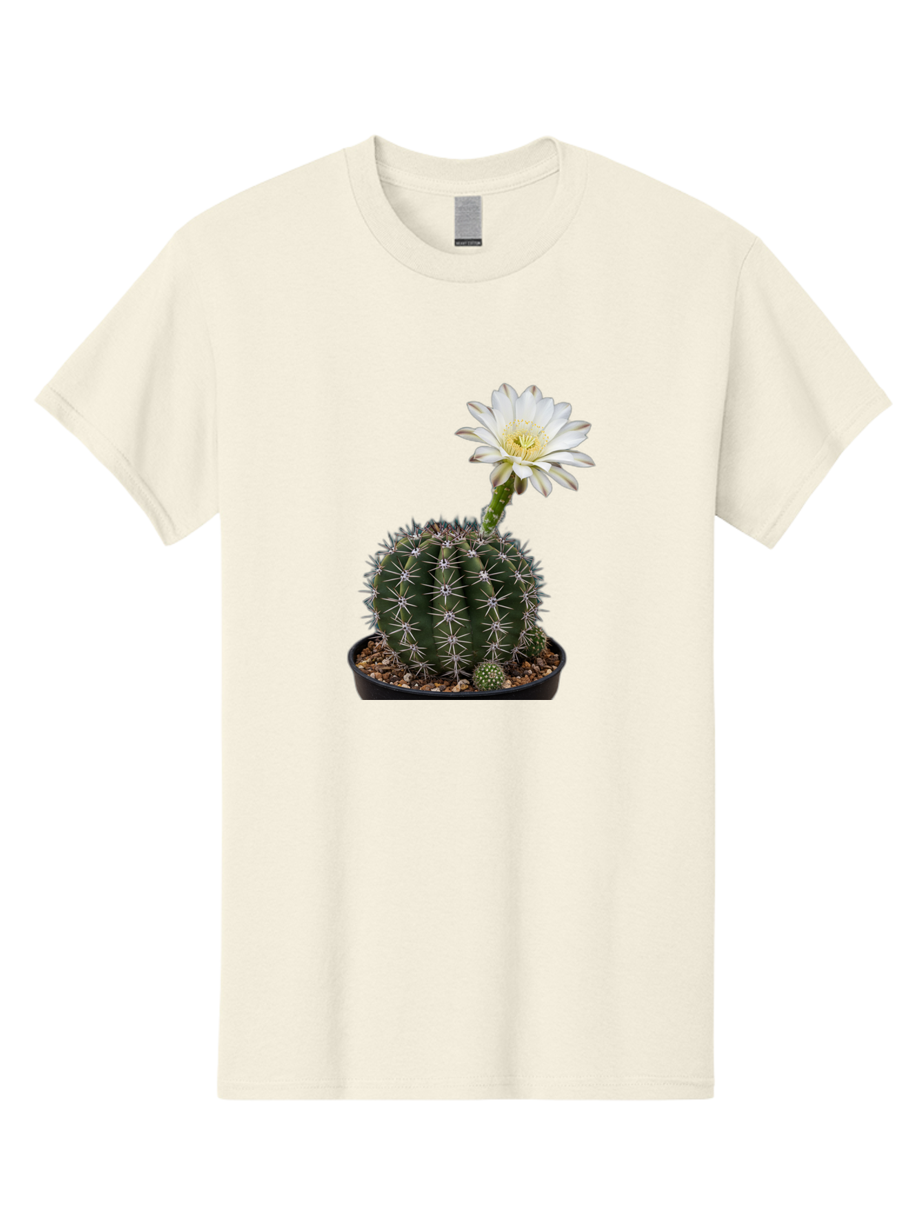 Cactus-With-White-Flower Men'S Graphic Tee, 100% Cotton, Comfortable Casual Summer Wear, Machine Washable, Cactus Plant, White Flower, Yellow Center, Spiky Texture, Potted Cactus, Succulent Bloom, Desert Flora, Floral Beauty, Cactus Flower, Bac769