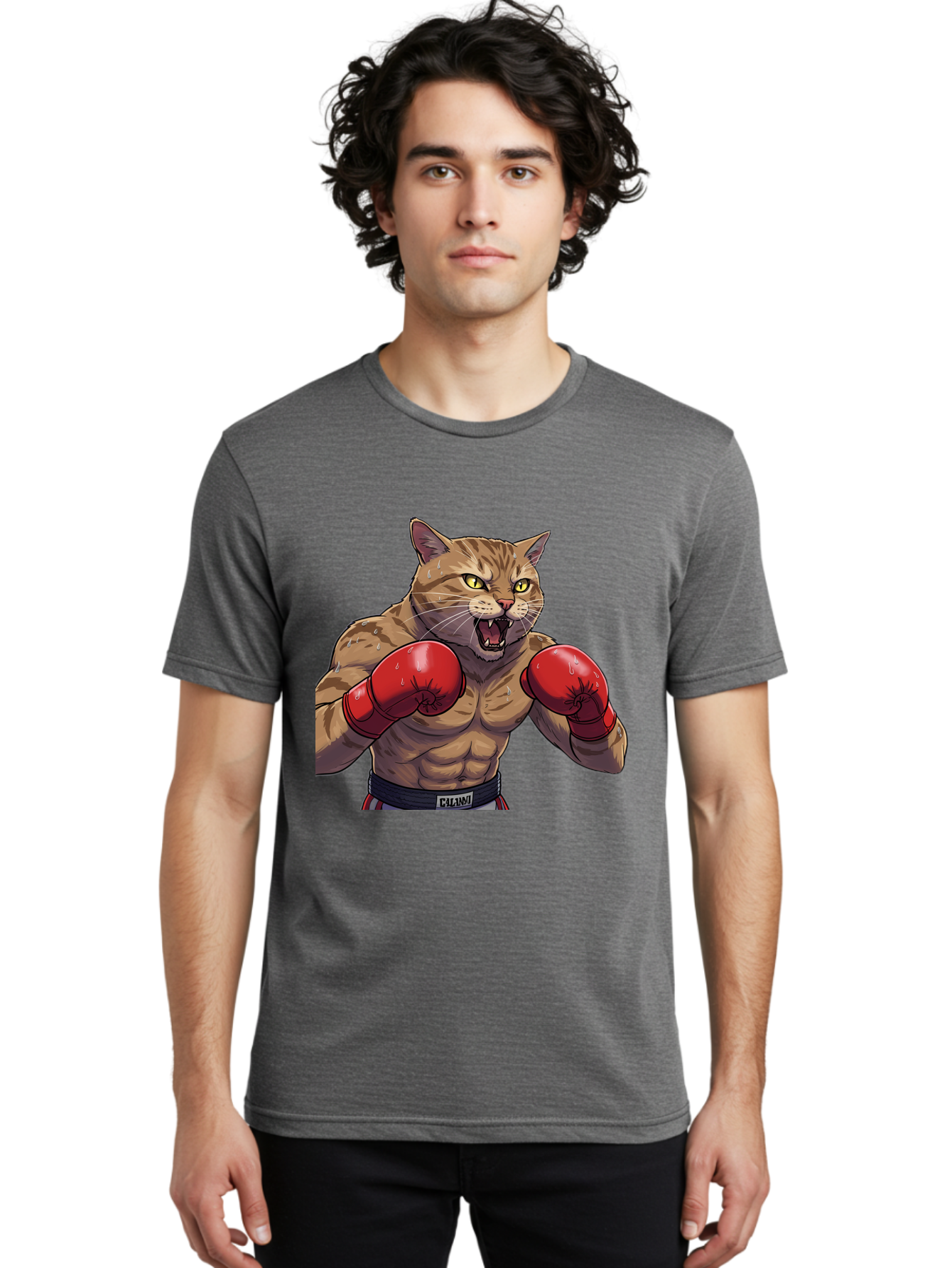 Cat-Boxer-1 Men'S Graphic Tee, 100% Cotton, Comfortable Casual Summer Wear, Machine Washable, Muscular Cat, Boxing Gloves, Fighting Stance, Aggressive Expression, Cartoon Character, Fitness, Athleticism, Feline, Combat Sports, Bae396
