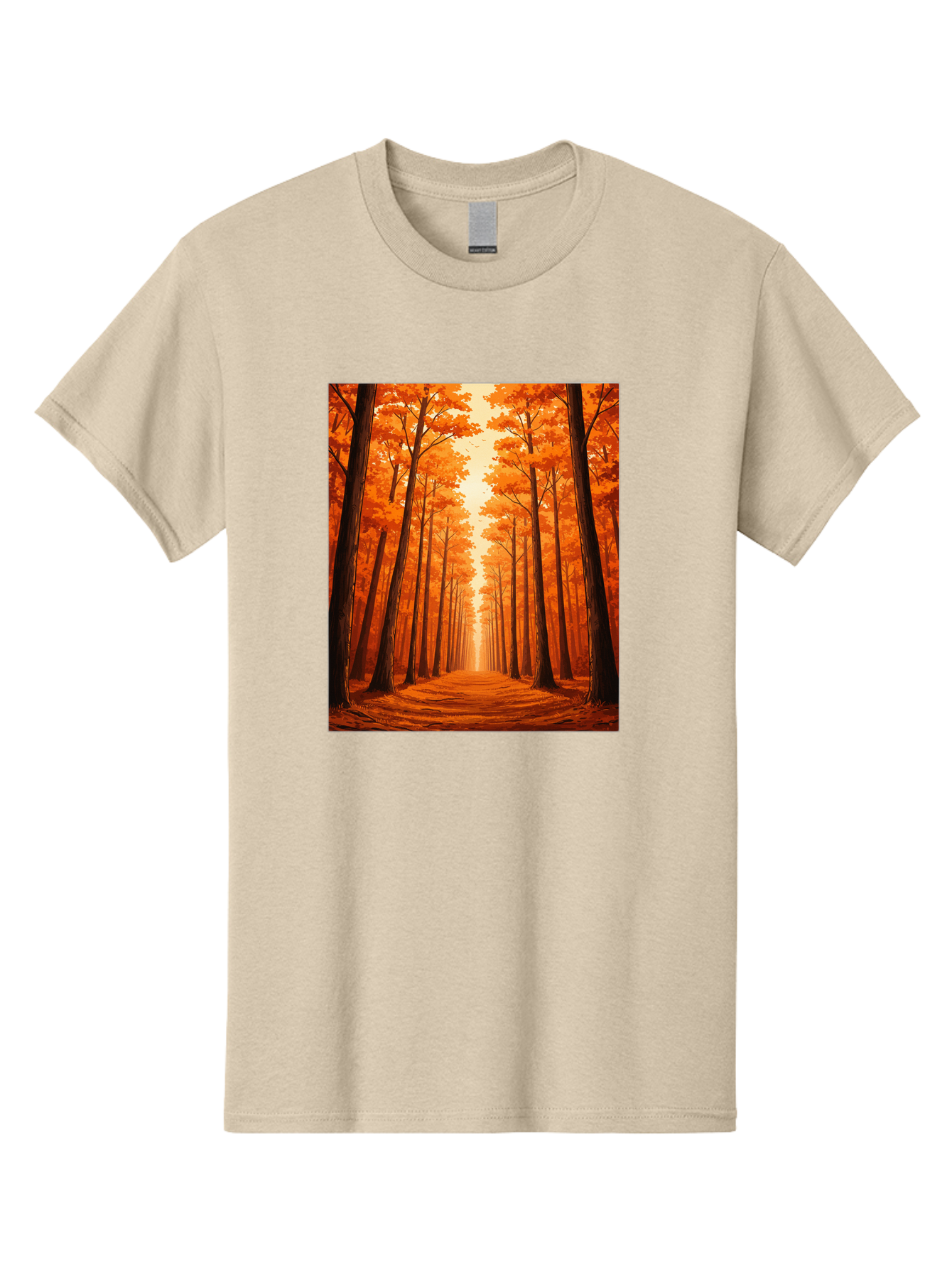 Tree-Lined-Pathway Men'S Graphic Tee, 100% Cotton, Comfortable Casual Summer Wear, Machine Washable, Vintage Camera, Old Camera, Antique Camera, Black Camera, Classic Photography, Photography Equipment, Nostalgic Device, Film Camera, Baf603