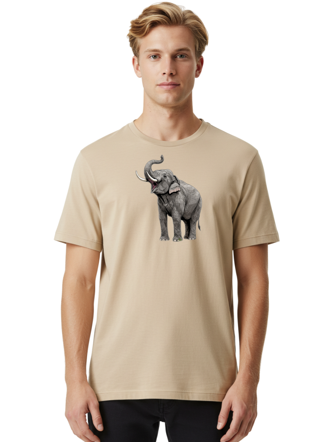 Elephant-1 Men'S Graphic Tee, 100% Cotton, Comfortable Casual Summer Wear, Machine Washable, Vintage Camera, Old Camera, Antique Camera, Black Camera, Classic Photography, Photography Equipment, Nostalgic Device, Film Camera, Camera Art Bah966