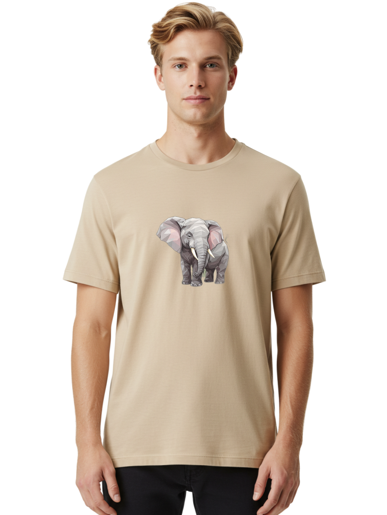 Low-Poly-Elephant Men'S Graphic Tee, 100% Cotton, Comfortable Casual Summer Wear, Machine Washable, Vintage Camera, Old Camera, Antique Camera, Black Camera, Classic Photography, Photography Equipment, Nostalgic Device, Film Camera, Camera Art Bai107