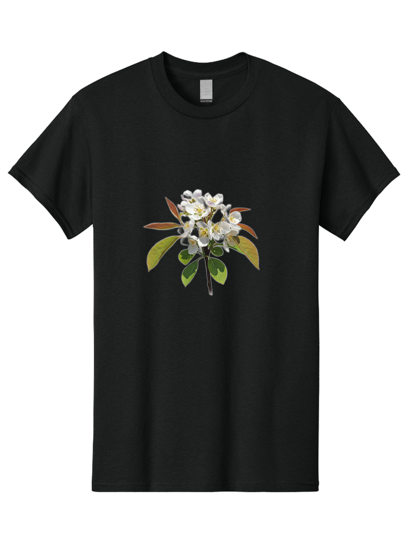 Pear-Blossom Men'S Graphic Tee, 100% Cotton, Comfortable Casual Summer Wear, Machine Washable, Vintage Camera, Old Camera, Antique Camera, Black Camera, Classic Photography, Photography Equipment, Nostalgic Device, Film Camera, Camera Art Baj157