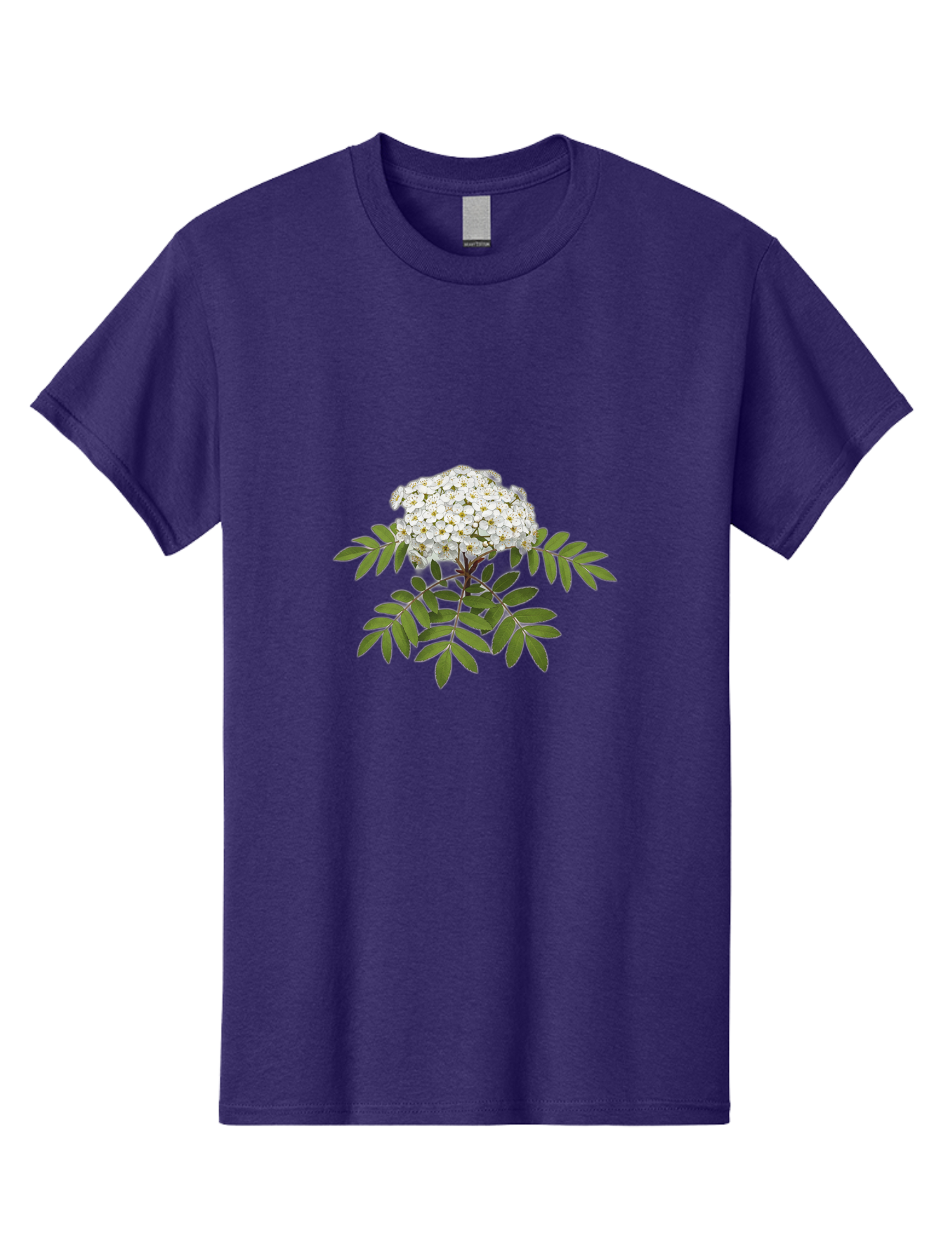 Rowan-Tree-Flowers Men'S Graphic Tee, 100% Cotton, Comfortable Casual Summer Wear, Machine Washable, Vintage Camera, Old Camera, Antique Camera, Black Camera, Classic Photography, Photography Equipment, Nostalgic Device, Film Camera, Baj244