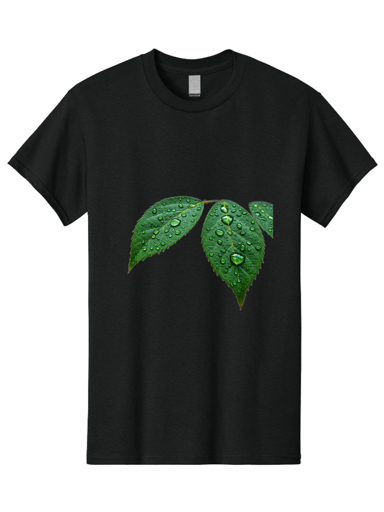 Leaves-With-Water-Droplets Men'S Graphic Tee, 100% Cotton, Comfortable Casual Summer Wear, Machine Washable, Vintage Camera, Old Camera, Antique Camera, Black Camera, Classic Photography, Photography Equipment, Nostalgic Device, Film Camera, Bak803