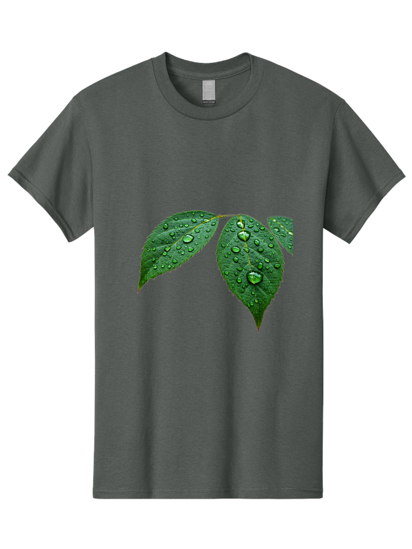 Leaves-With-Water-Droplets Men'S Graphic Tee, 100% Cotton, Comfortable Casual Summer Wear, Machine Washable, Vintage Camera, Old Camera, Antique Camera, Black Camera, Classic Photography, Photography Equipment, Nostalgic Device, Film Camera, Bak803
