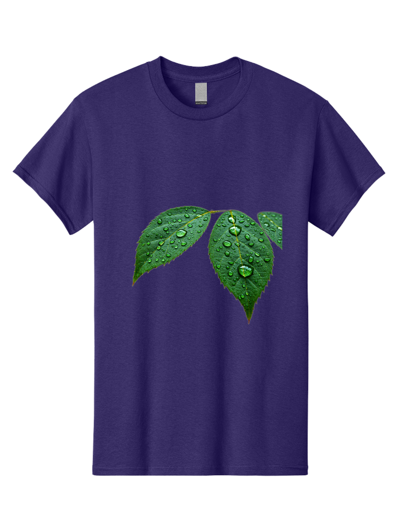 Leaves-With-Water-Droplets Men'S Graphic Tee, 100% Cotton, Comfortable Casual Summer Wear, Machine Washable, Vintage Camera, Old Camera, Antique Camera, Black Camera, Classic Photography, Photography Equipment, Nostalgic Device, Film Camera, Bak803
