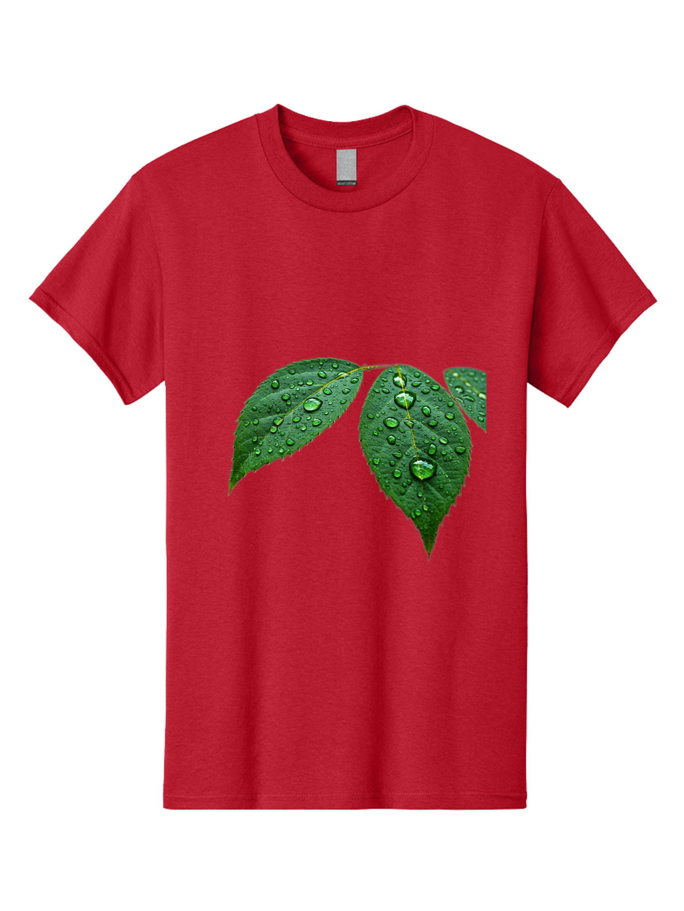 Leaves-With-Water-Droplets Men'S Graphic Tee, 100% Cotton, Comfortable Casual Summer Wear, Machine Washable, Vintage Camera, Old Camera, Antique Camera, Black Camera, Classic Photography, Photography Equipment, Nostalgic Device, Film Camera, Bak803