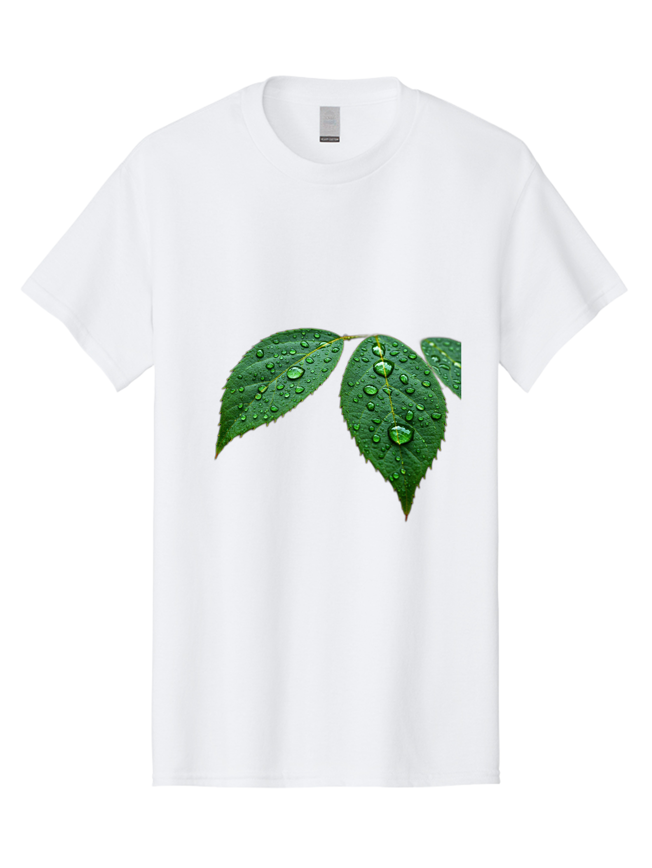 Leaves-With-Water-Droplets Men'S Graphic Tee, 100% Cotton, Comfortable Casual Summer Wear, Machine Washable, Vintage Camera, Old Camera, Antique Camera, Black Camera, Classic Photography, Photography Equipment, Nostalgic Device, Film Camera, Bak803