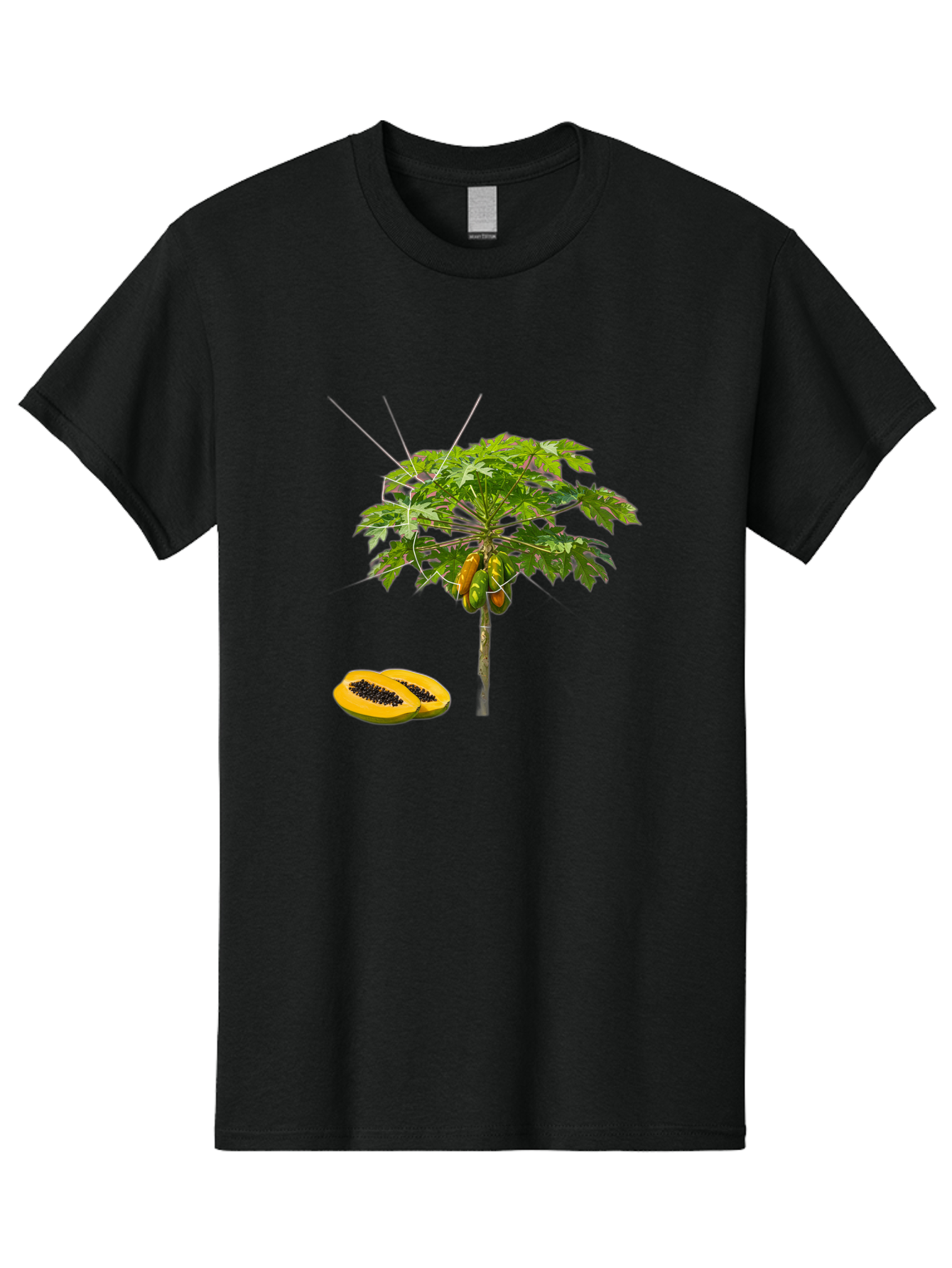 Papaya-Tree Men'S Graphic Tee, 100% Cotton, Comfortable Casual Summer Wear, Machine Washable, Vintage Camera, Old Camera, Antique Camera, Black Camera, Classic Photography, Photography Equipment, Nostalgic Device, Film Camera, Camera Art Bal048