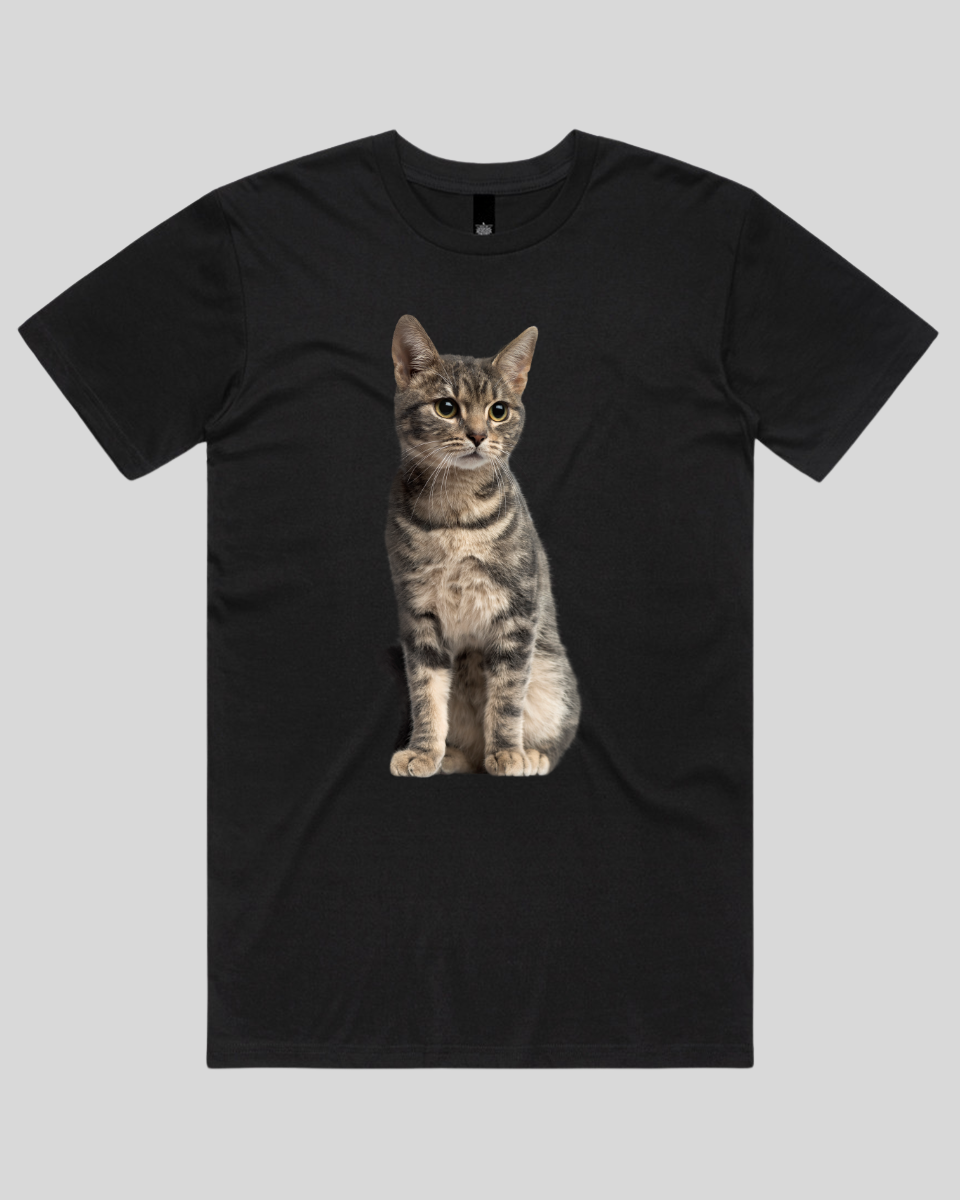 Attentive Cat Women's T-Shirt