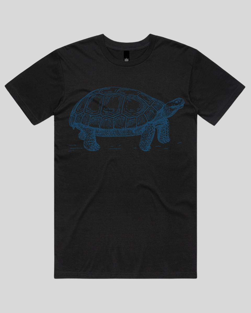 Turtle Step Women's T-Shirt