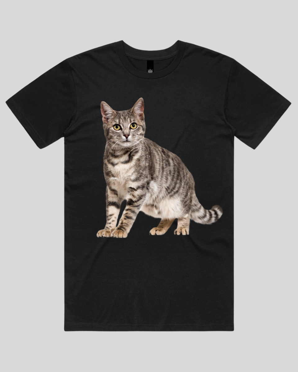Friendly Cat Women's T-Shirt