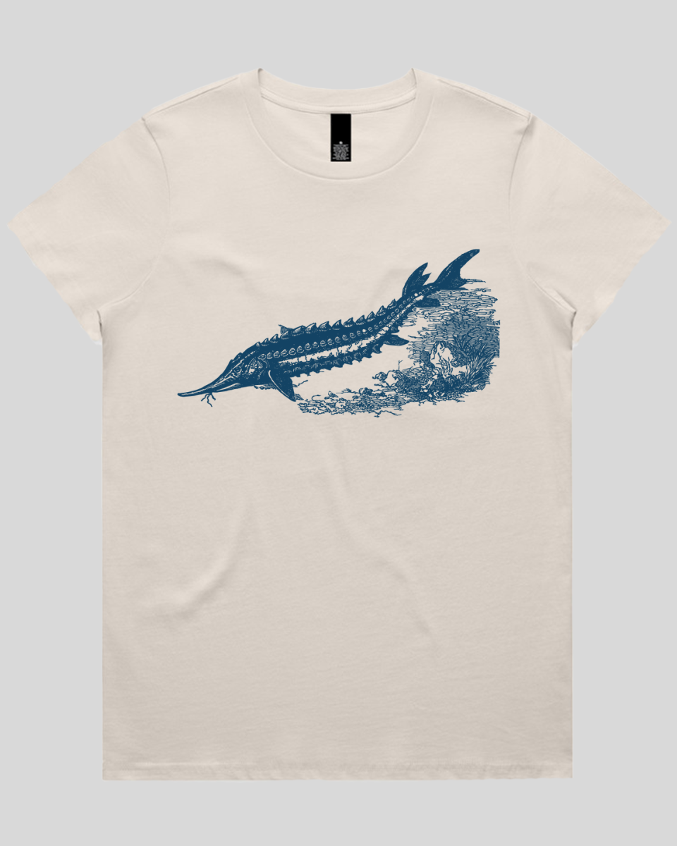 Ancient River Fish 2 Women's T-Shirt