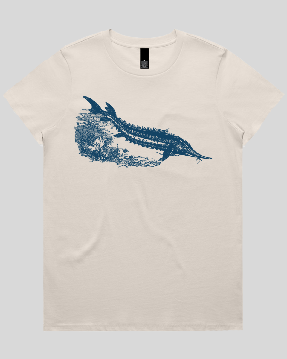 Ancient River Fish Women's T-Shirt