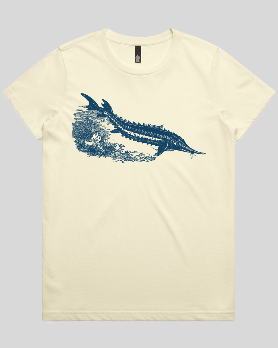 Ancient River Fish Women's T-Shirt