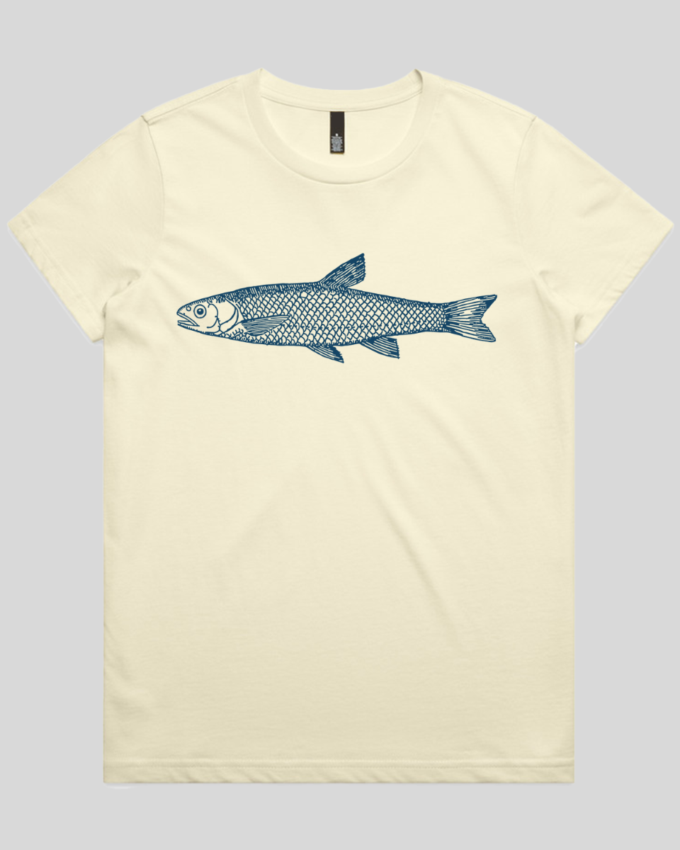 Silent Fin Women's T-Shirt