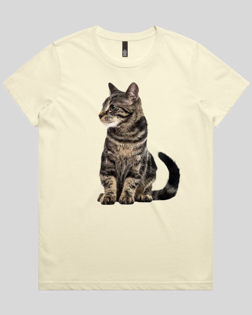 Alert Cat Women's T-Shirt
