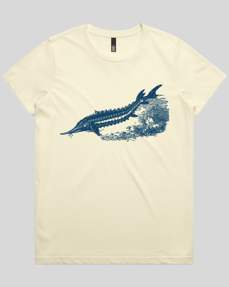 Ancient River Fish 2 Women's T-Shirt