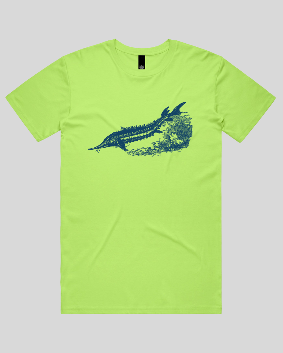 Ancient River Fish 2 Men's T-Shirt