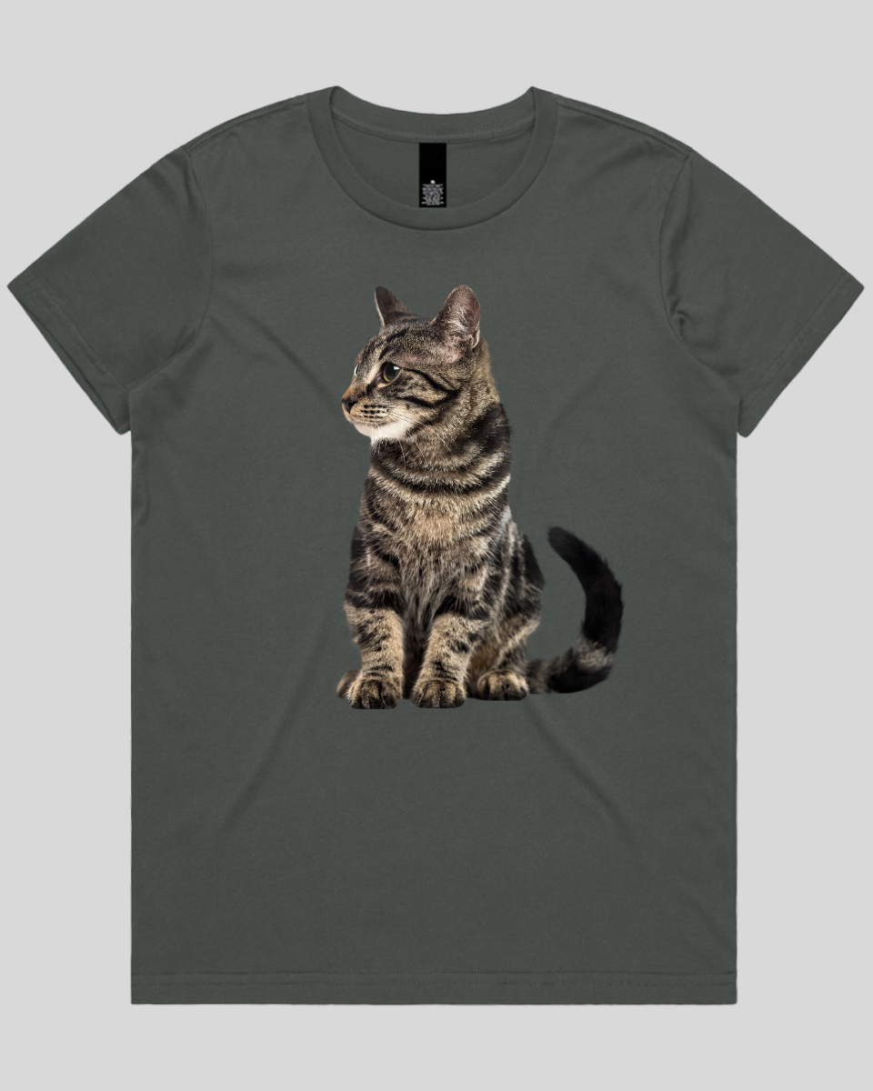 Alert Cat Women's T-Shirt
