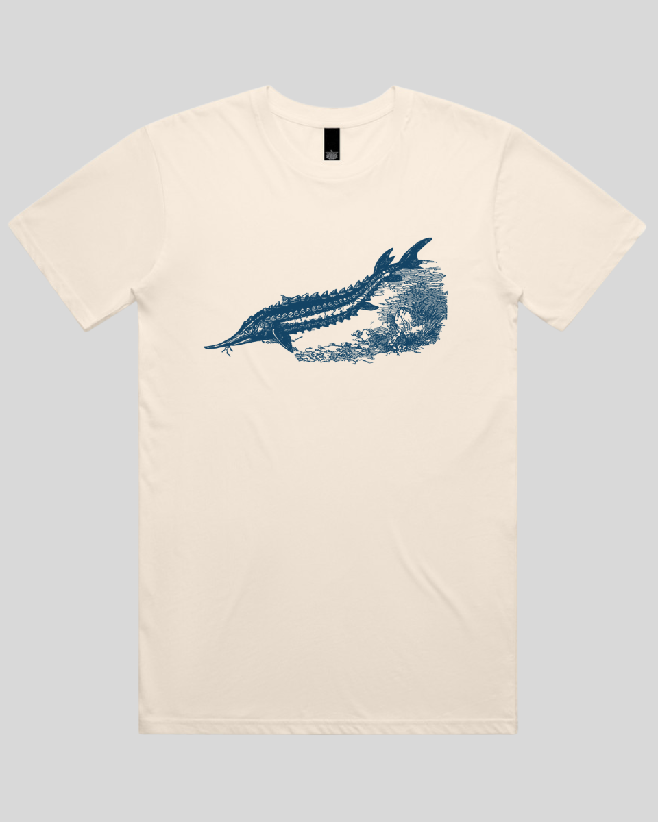 Ancient River Fish 2 Men's T-Shirt