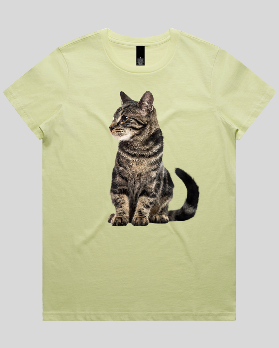 Alert Cat Women's T-Shirt
