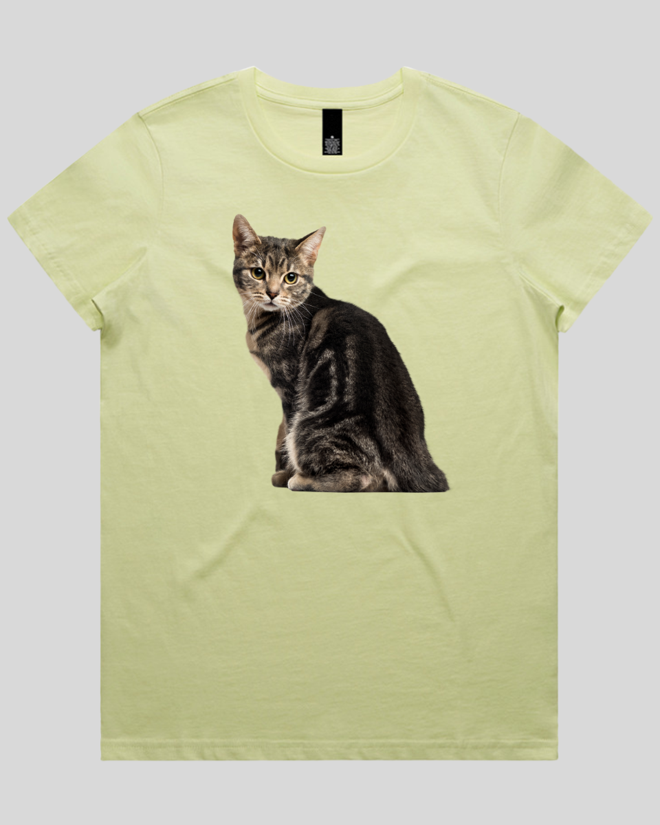 Cautious Cat Women's T-Shirt