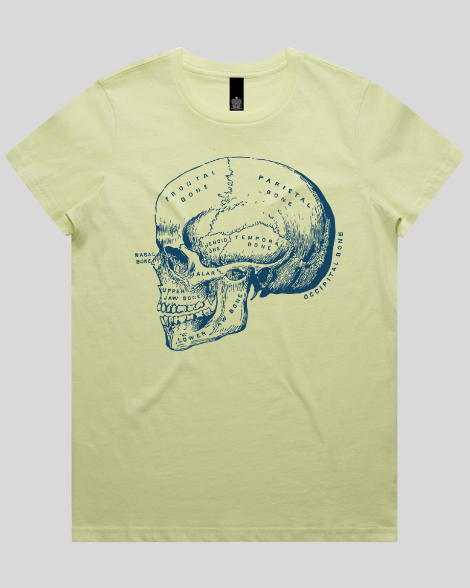 Blueprint Skull Women's T-Shirt