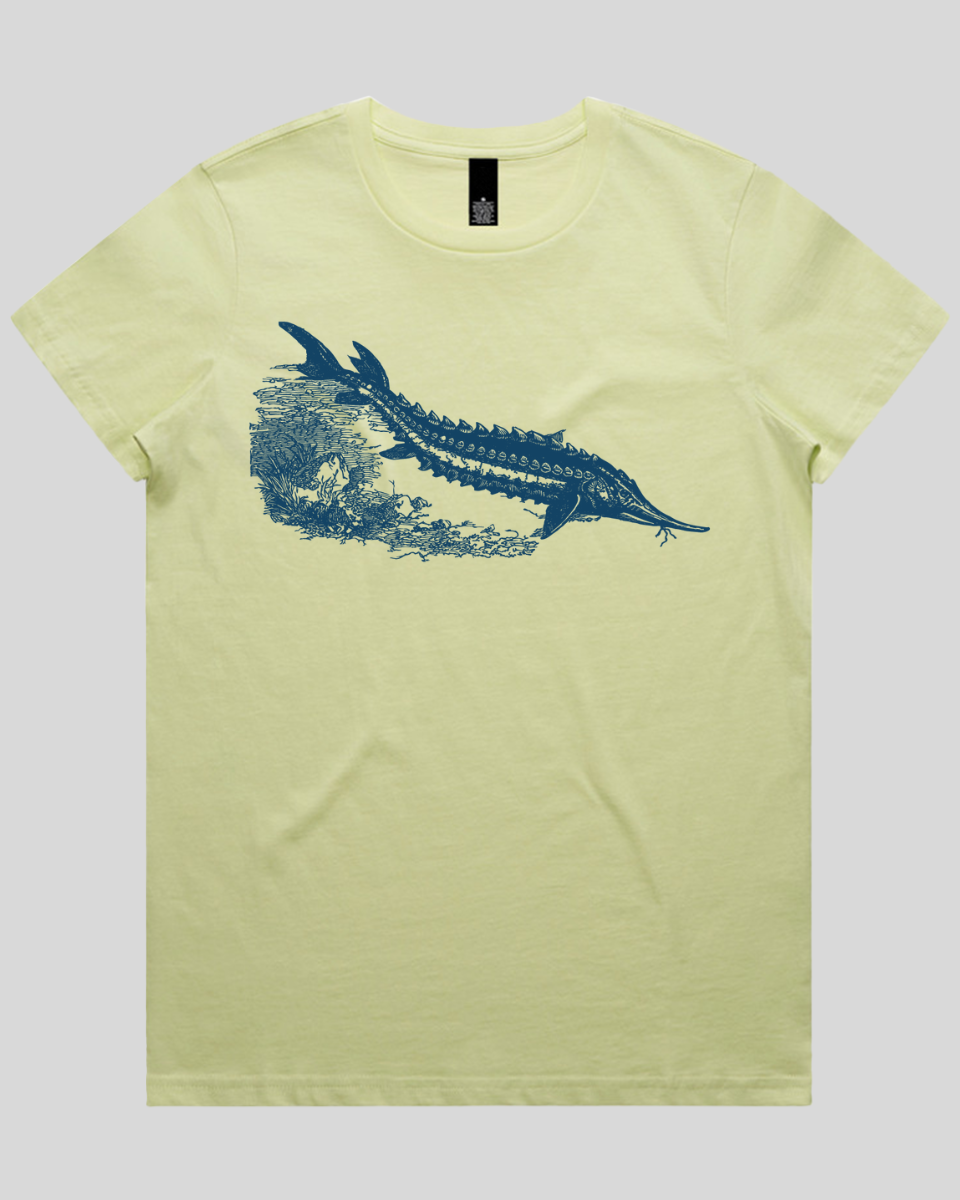 Ancient River Fish Women's T-Shirt