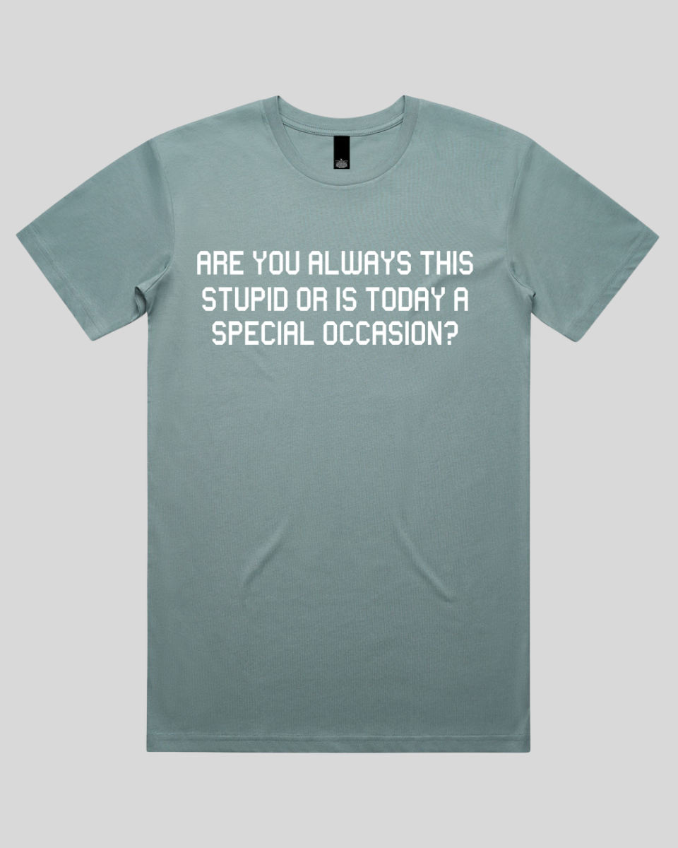Are you always this stupid Men's T-Shirt