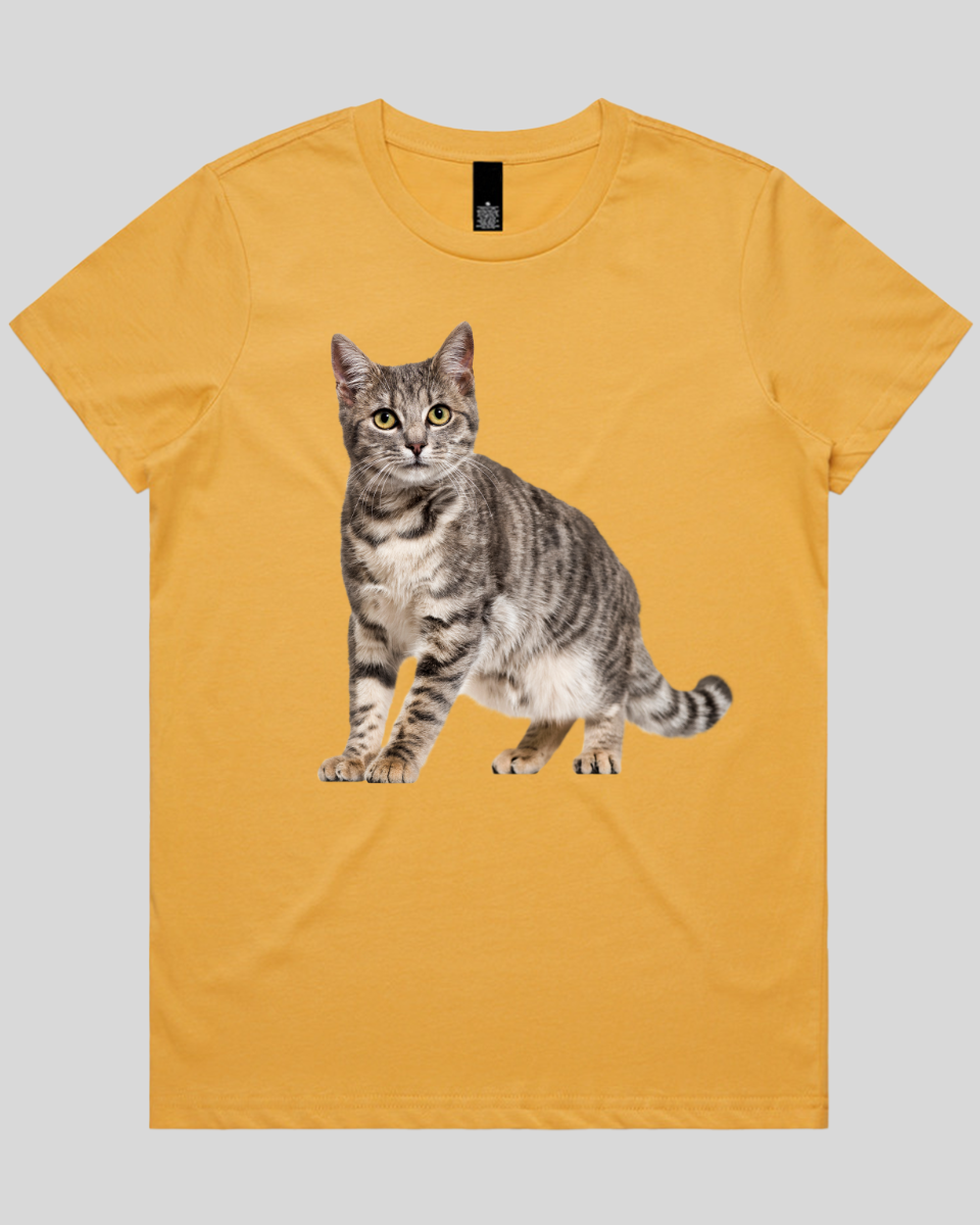 Friendly Cat Women's T-Shirt