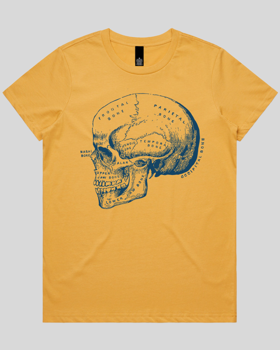 Blueprint Skull Women's T-Shirt