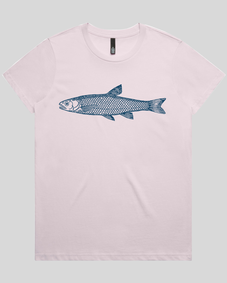 Silent Fin Women's T-Shirt