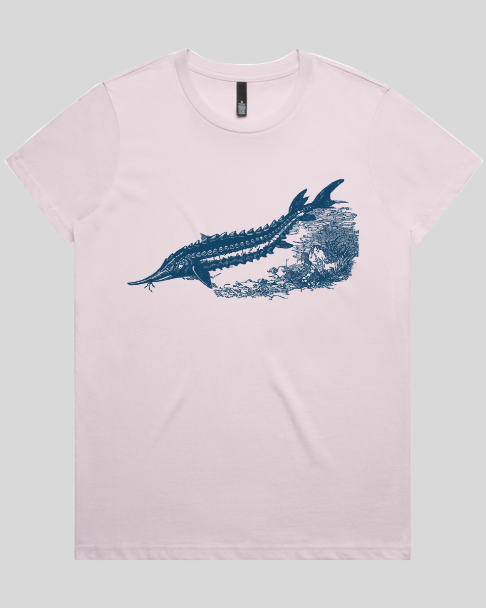 Ancient River Fish 2 Women's T-Shirt