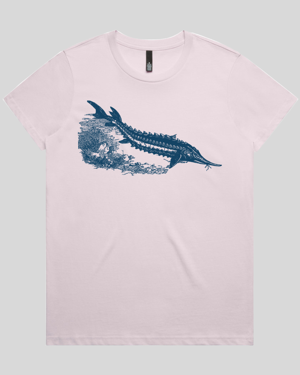 Ancient River Fish Women's T-Shirt