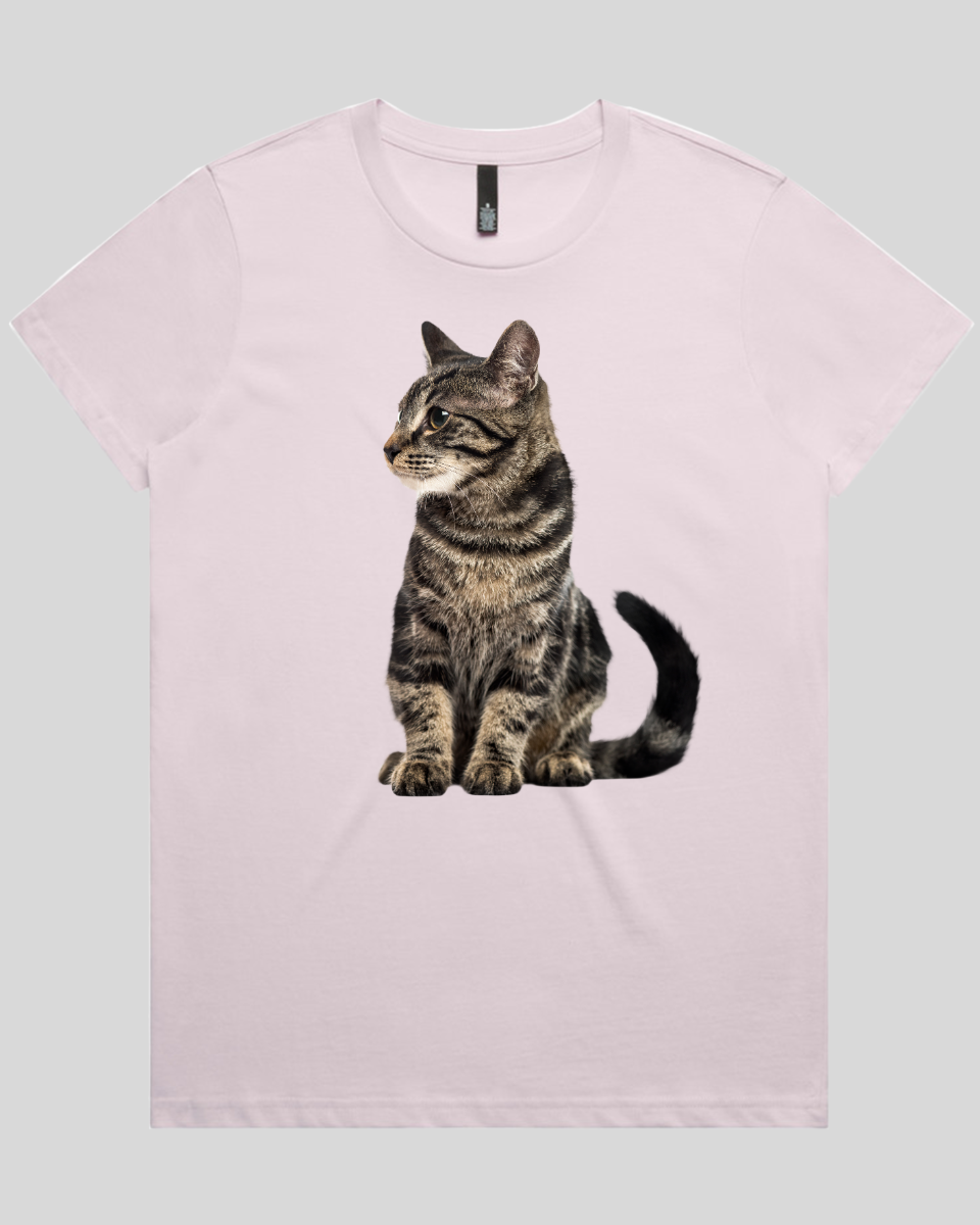 Alert Cat Women's T-Shirt
