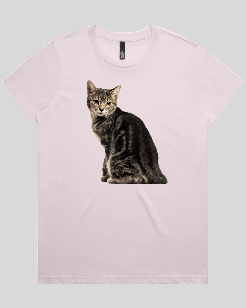 Cautious Cat Women's T-Shirt