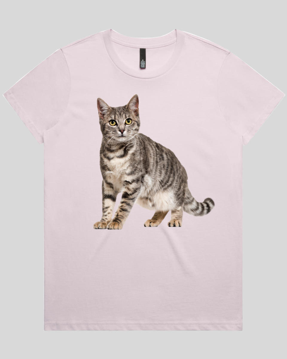 Friendly Cat Women's T-Shirt