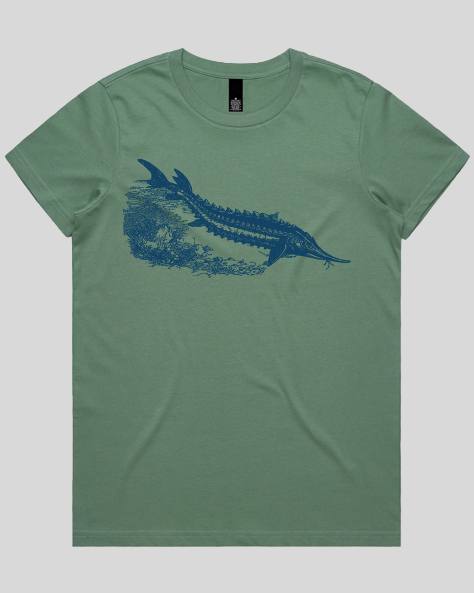 Ancient River Fish Women's T-Shirt