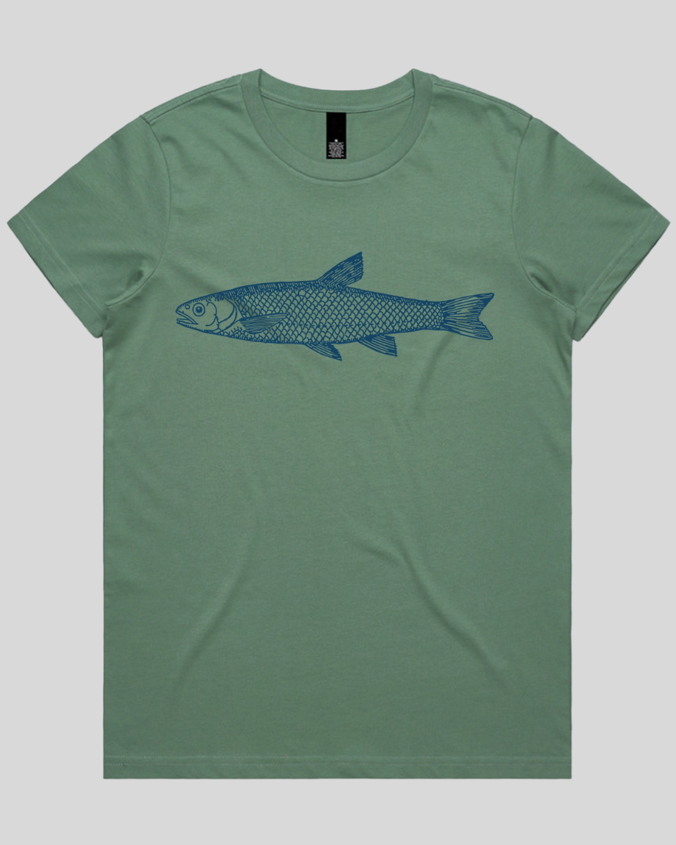 Silent Fin Women's T-Shirt