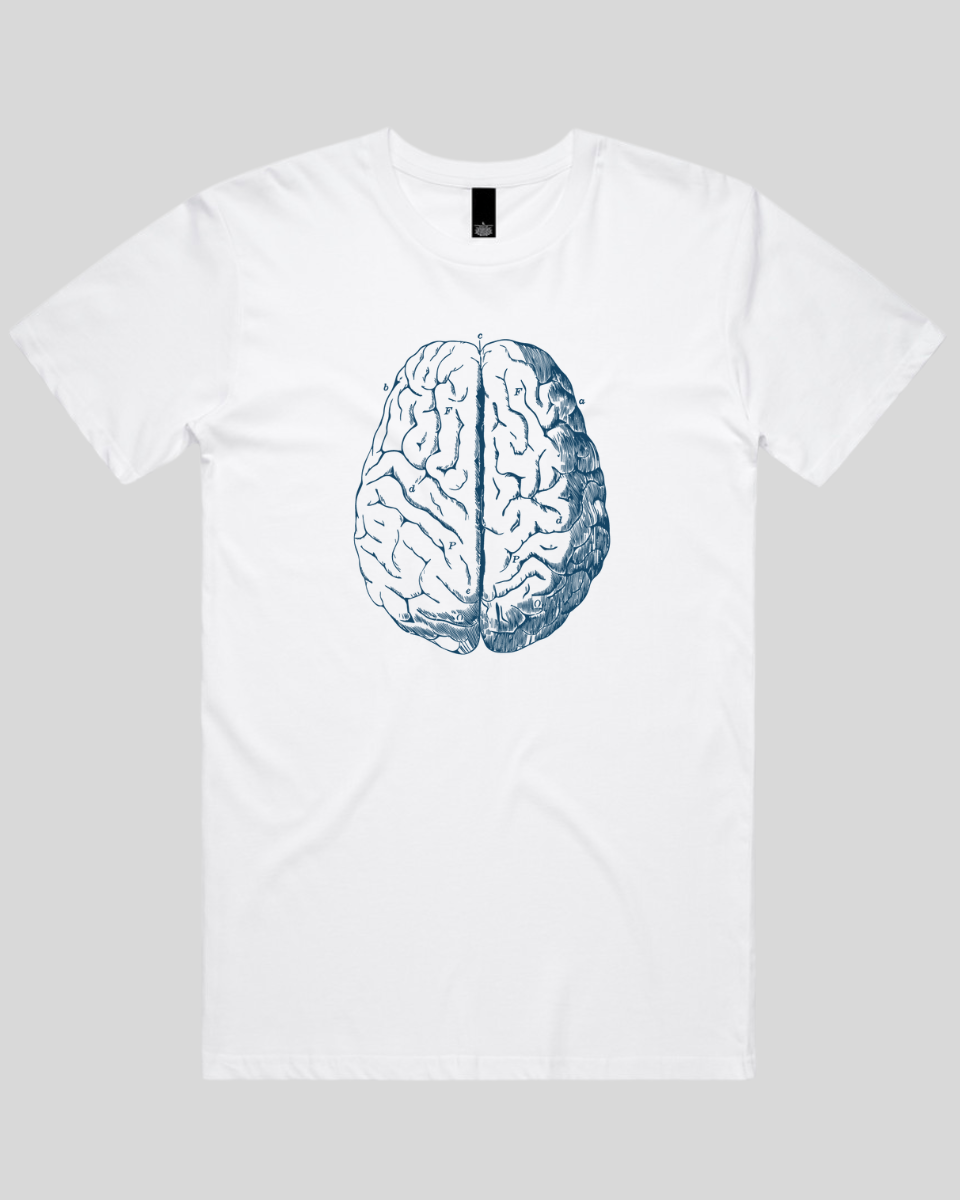 Vintage Brain Diagram Men's T-Shirt
