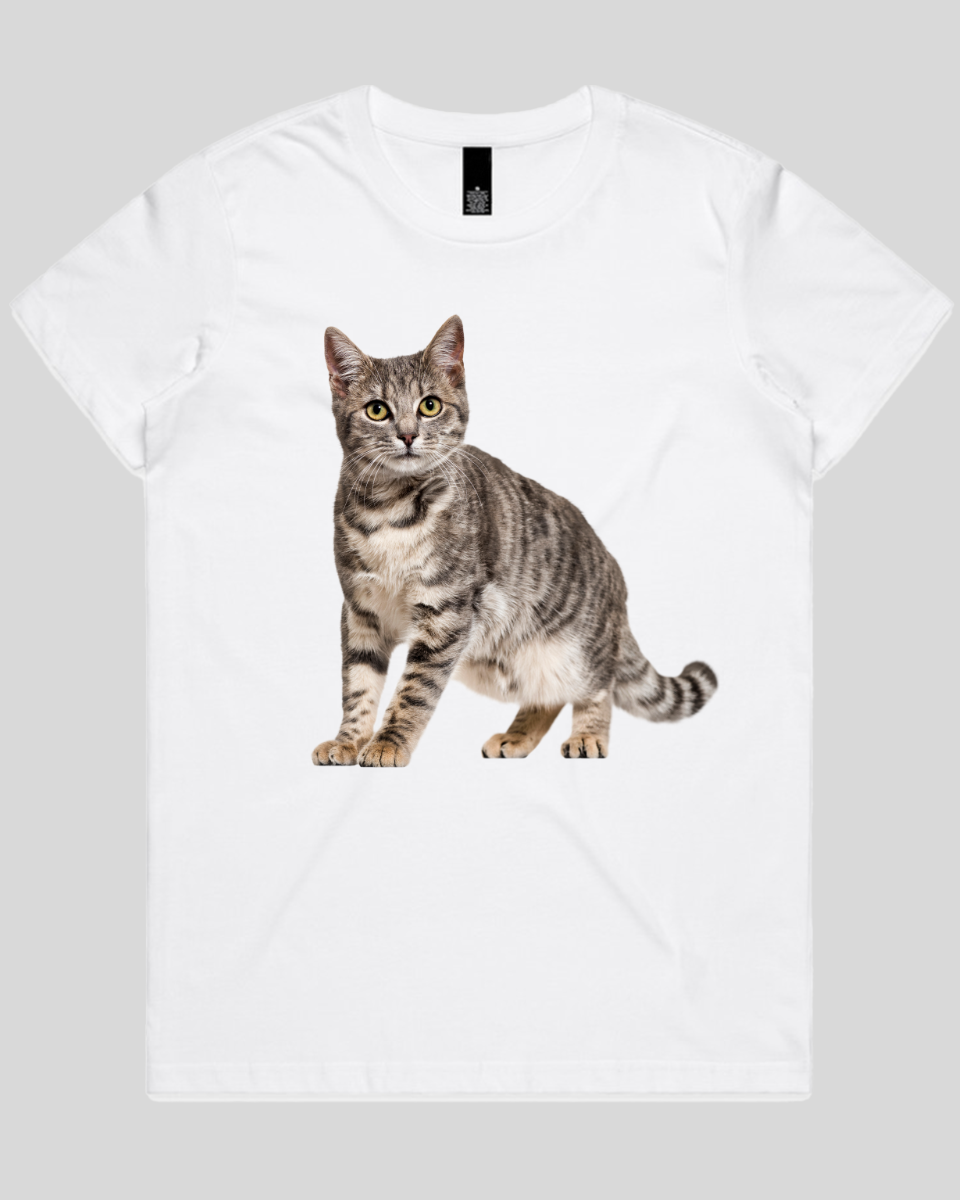 Friendly Cat Women's T-Shirt