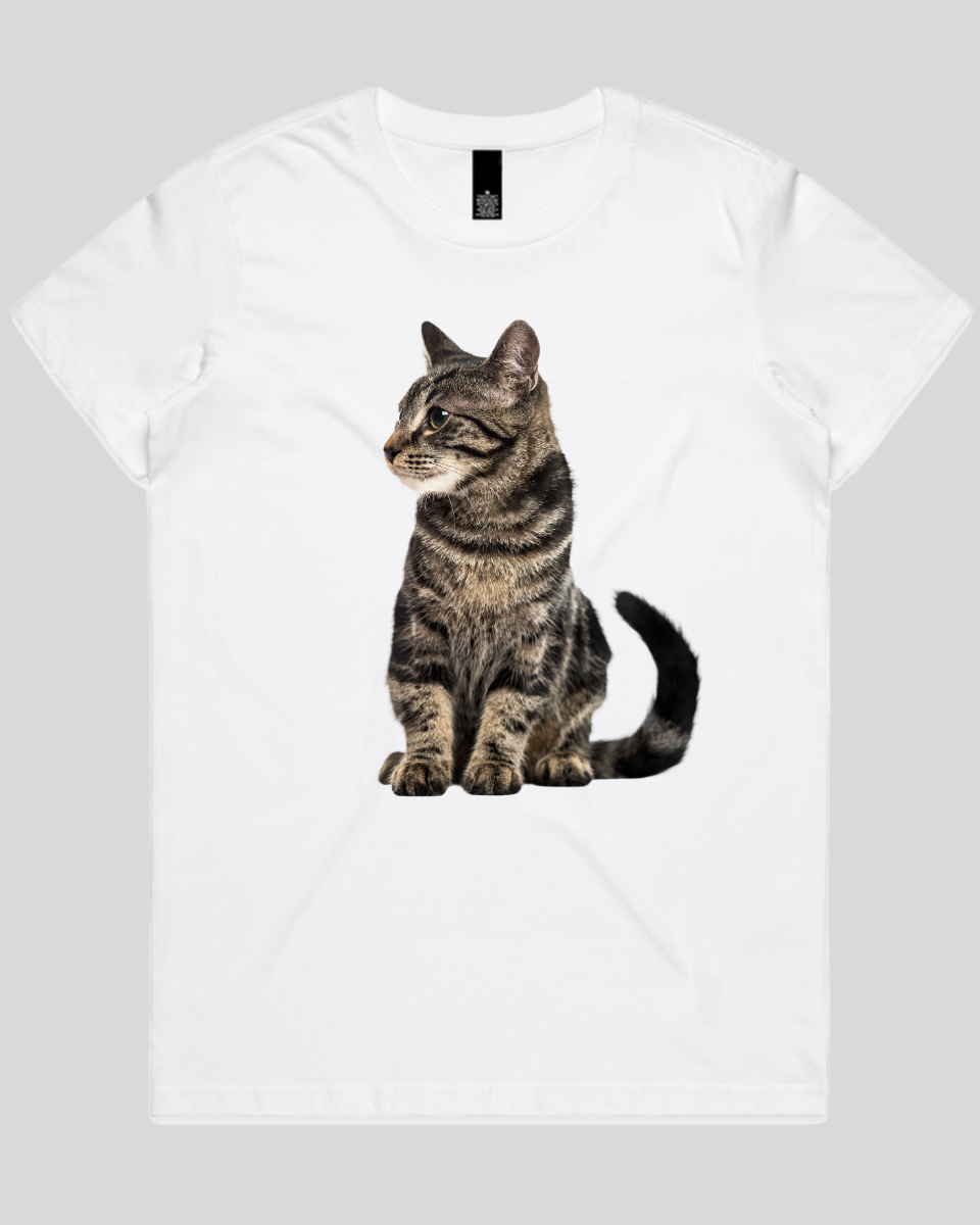 Alert Cat Women's T-Shirt