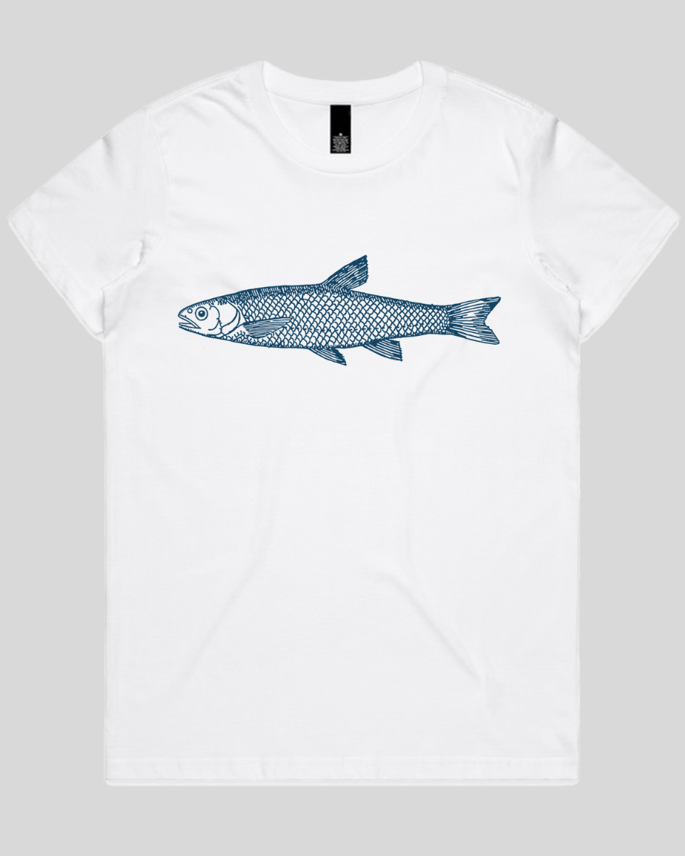 Silent Fin Women's T-Shirt